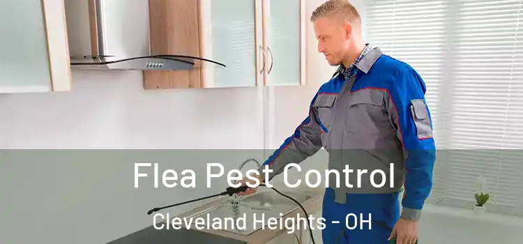  Flea Pest Control Cleveland Heights - OH