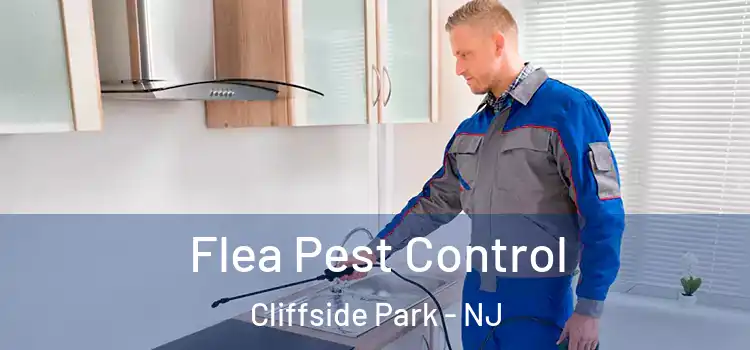 Flea Pest Control Cliffside Park - NJ