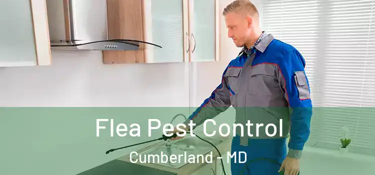 Flea Pest Control Cumberland - MD