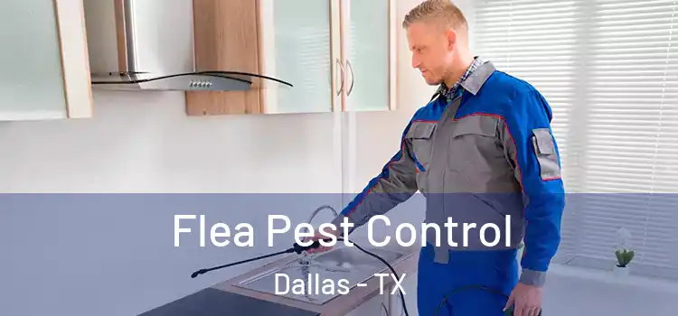  Flea Pest Control Dallas - TX