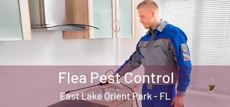  Flea Pest Control East Lake Orient Park - FL