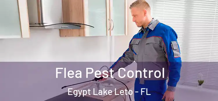  Flea Pest Control Egypt Lake Leto - FL