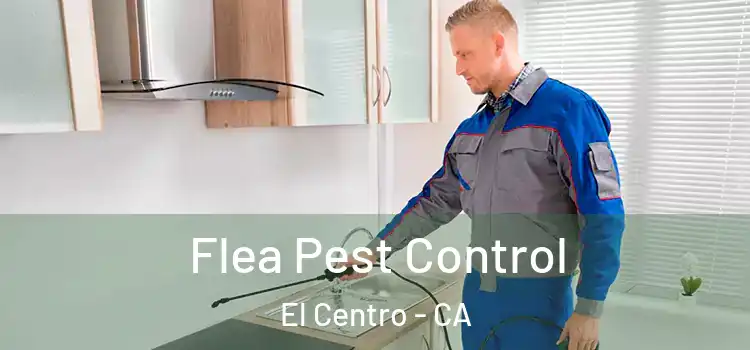  Flea Pest Control El Centro - CA