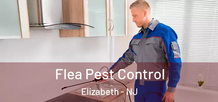  Flea Pest Control Elizabeth - NJ