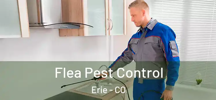  Flea Pest Control Erie - CO
