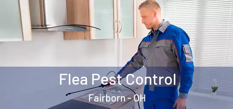 Flea Pest Control Fairborn - OH