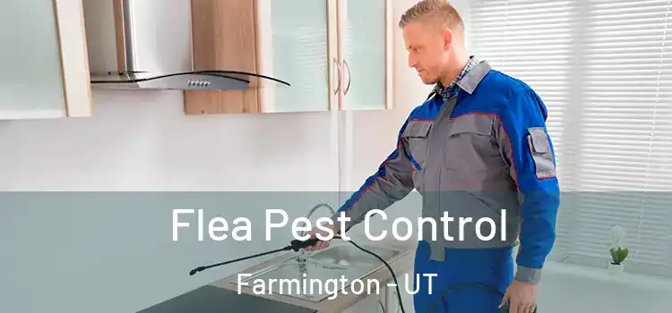  Flea Pest Control Farmington - UT