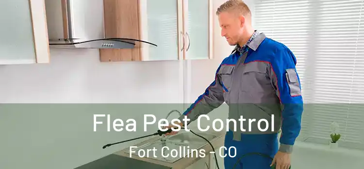 Flea Pest Control Fort Collins - CO