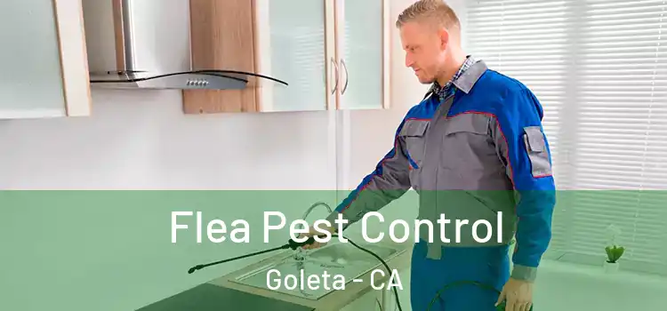  Flea Pest Control Goleta - CA