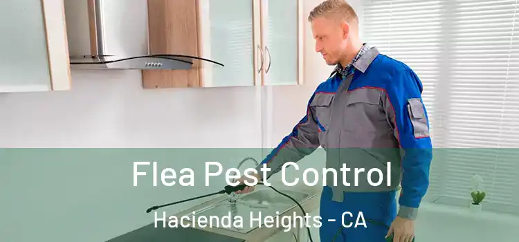Flea Pest Control Hacienda Heights - CA
