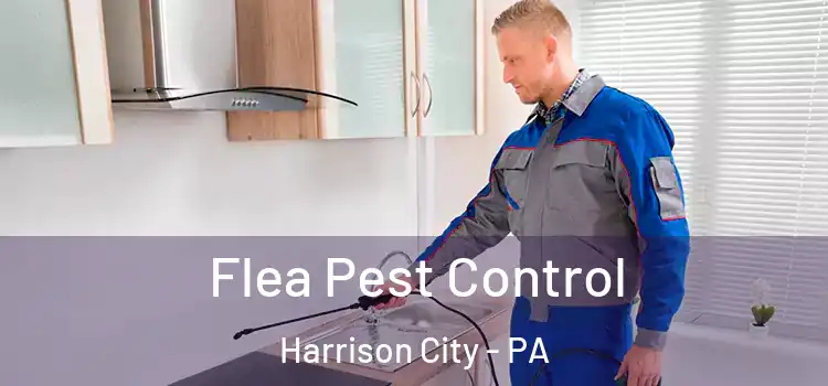 Flea Pest Control Harrison City - PA