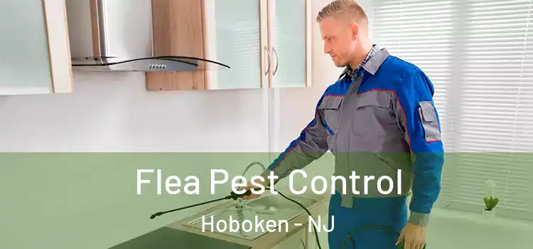  Flea Pest Control Hoboken - NJ