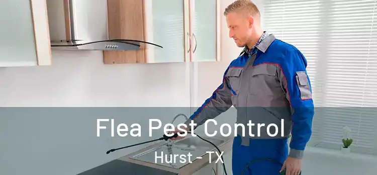 Flea Pest Control Hurst - TX