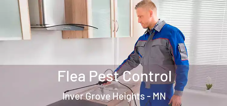 Flea Pest Control Inver Grove Heights - MN