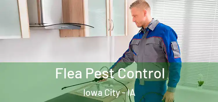  Flea Pest Control Iowa City - IA