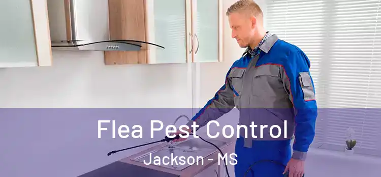 Flea Pest Control Jackson - MS