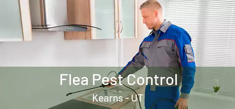  Flea Pest Control Kearns - UT