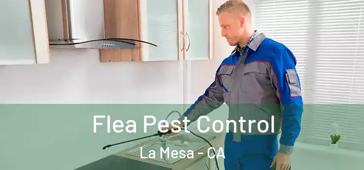 Flea Pest Control La Mesa - CA