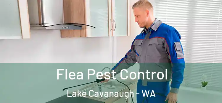  Flea Pest Control Lake Cavanaugh - WA