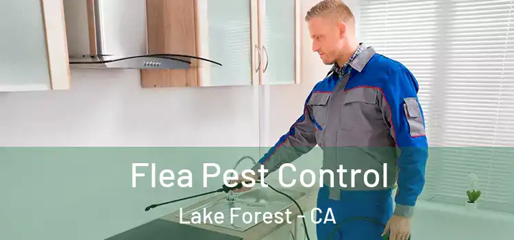  Flea Pest Control Lake Forest - CA
