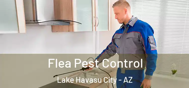  Flea Pest Control Lake Havasu City - AZ