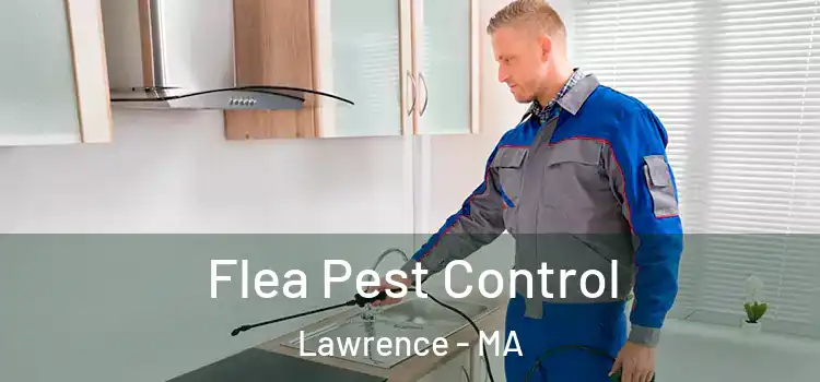 Flea Pest Control Lawrence - MA
