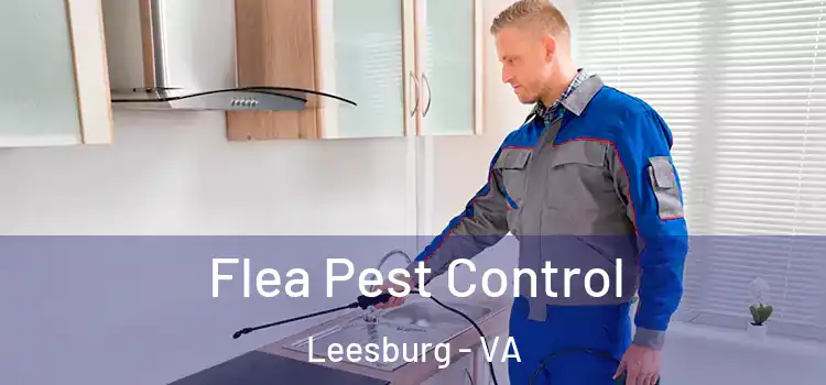  Flea Pest Control Leesburg - VA