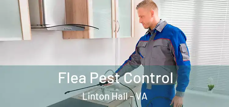  Flea Pest Control Linton Hall - VA