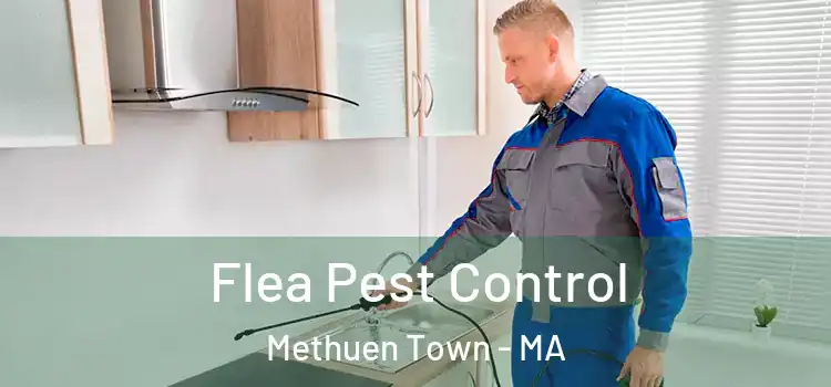  Flea Pest Control Methuen Town - MA