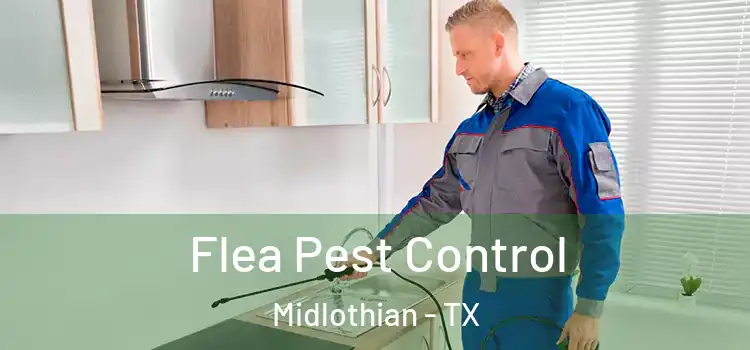 Flea Pest Control Midlothian - TX