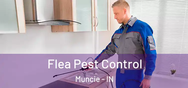 Flea Pest Control Muncie - IN
