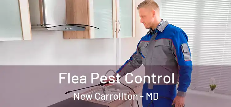  Flea Pest Control New Carrollton - MD