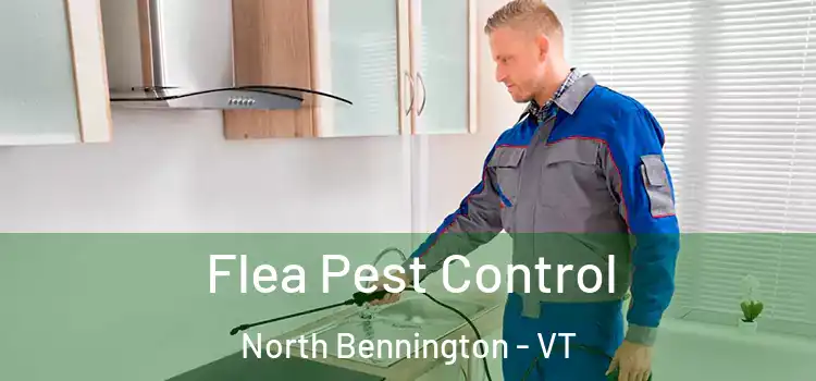 Flea Pest Control North Bennington - VT