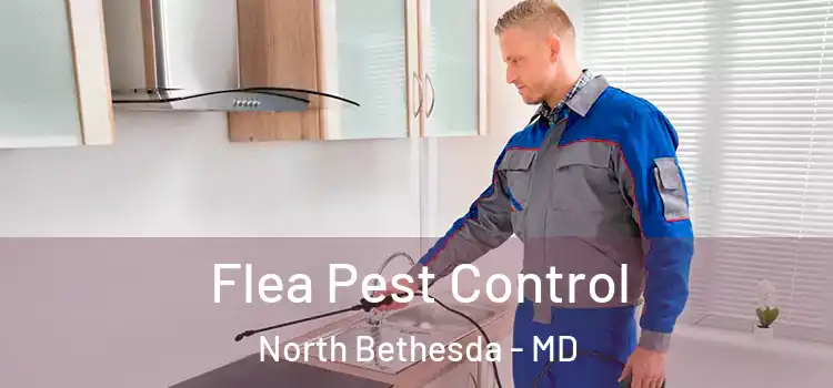  Flea Pest Control North Bethesda - MD