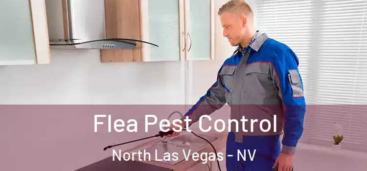  Flea Pest Control North Las Vegas - NV