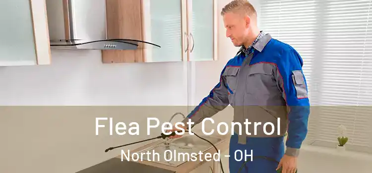 Flea Pest Control North Olmsted - OH