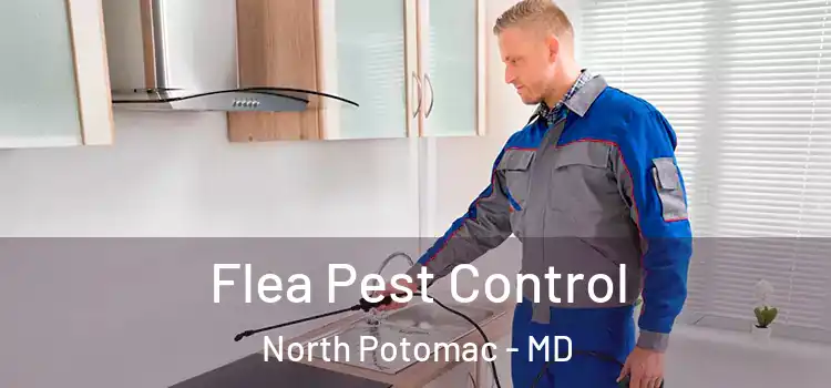  Flea Pest Control North Potomac - MD