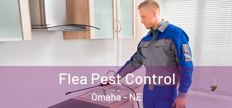 Flea Pest Control Omaha - NE