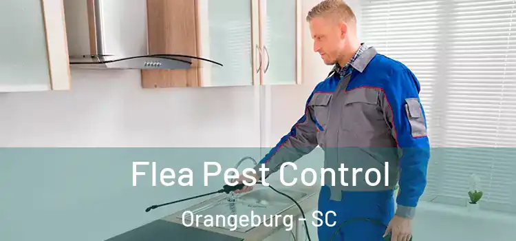 Flea Pest Control Orangeburg - SC