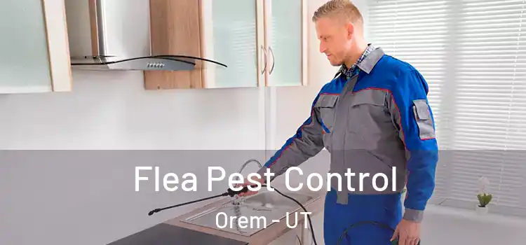  Flea Pest Control Orem - UT
