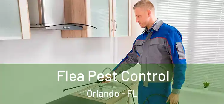 Flea Pest Control Orlando - FL