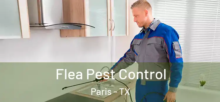  Flea Pest Control Paris - TX