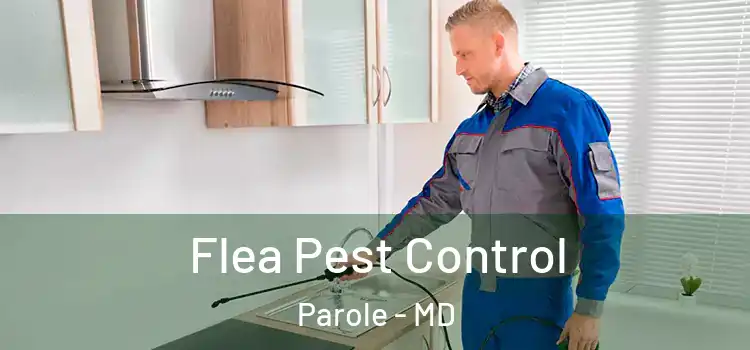 Flea Pest Control Parole - MD