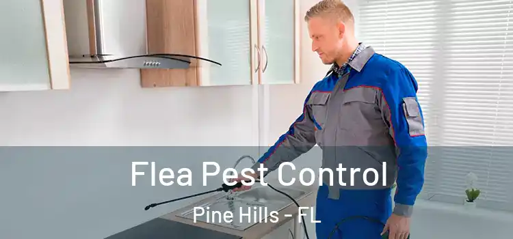  Flea Pest Control Pine Hills - FL