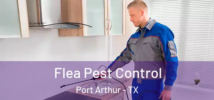 Flea Pest Control Port Arthur - TX
