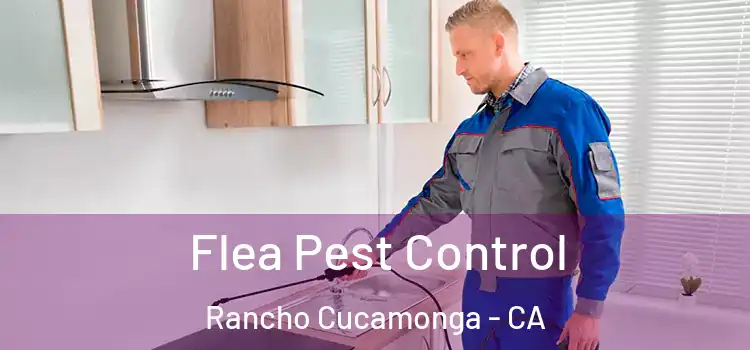  Flea Pest Control Rancho Cucamonga - CA