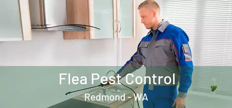  Flea Pest Control Redmond - WA