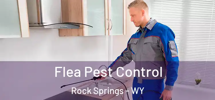 Flea Pest Control Rock Springs - WY