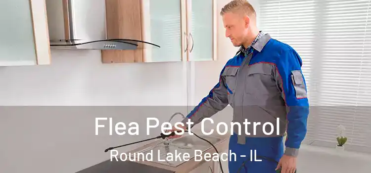 Flea Pest Control Round Lake Beach - IL