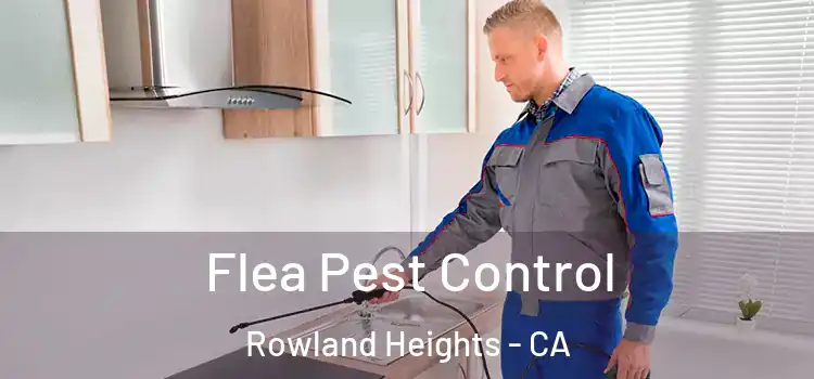  Flea Pest Control Rowland Heights - CA